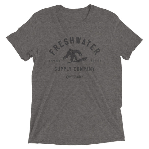 products/unisex-tri-blend-t-shirt-grey-triblend-front-638a6faccd44f.jpg